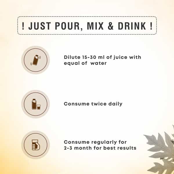 Four Seasons Papaya Leaf Juice 500Ml | Helps To Boost Platelets Count - Boosts Immunity