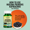 Morpheme Remedies Mucuna Pruriens Kapikachhu 500 Mg - 60 Veg Capsules