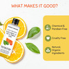 Coco Crush Vitamin-C & Tea Tree Massage Oil - 100Ml