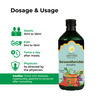 Kerala Ayurveda Saraswath - Arishtam -200 Ml
