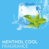 Dettol Disinfectent Menthol Cool Disinfectant Liquid 500 Ml