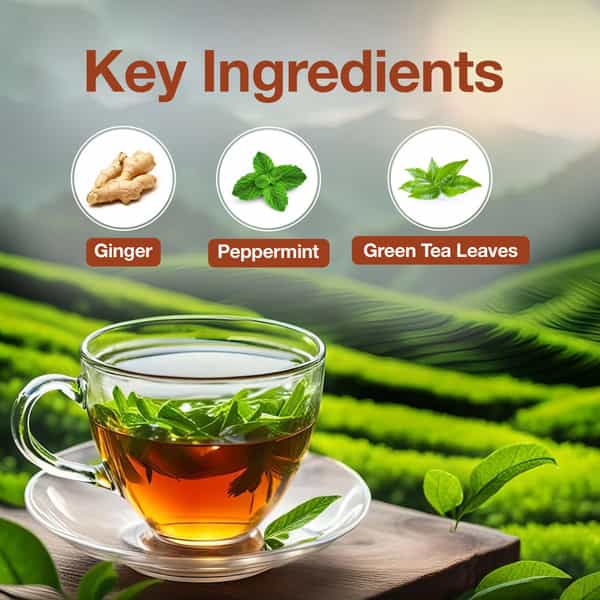 Baidyanath Trusoul Green Tea Gut Health 25 Bags | Digestive Wellness