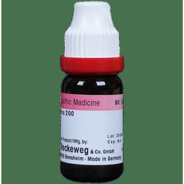 Dr. Reckeweg Cantharis Dilution 200 Ch 11 Ml