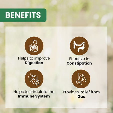 Baidyanath Ayurved Triphala Juice 1L | Digestive Wellness