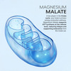 Muscleblaze Magnesium Matrix (60 Tablets) 440Mg Elemental Magnesium | Support Performance | Recovery