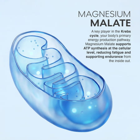 Muscleblaze Magnesium Matrix (60 Tablets) 440Mg Elemental Magnesium | Support Performance | Recovery