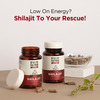 Everherb Shilajit 500Mg - Vigour Improvement-Strength & Stamina For Men-Bottle Of 60 (By Pharmeasy)
