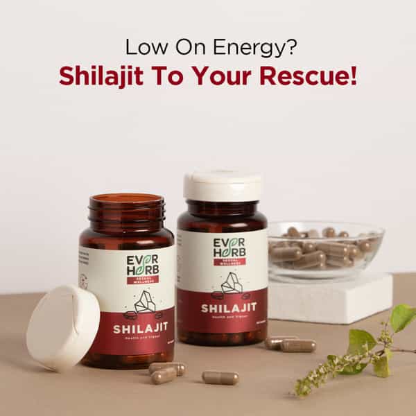 Everherb Shilajit 500Mg - Vigour Improvement-Strength & Stamina For Men-Bottle Of 60 (By Pharmeasy)