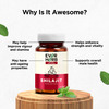 Everherb Shilajit 500Mg - Vigour Improvement-Strength & Stamina For Men-Bottle Of 60 (By Pharmeasy)