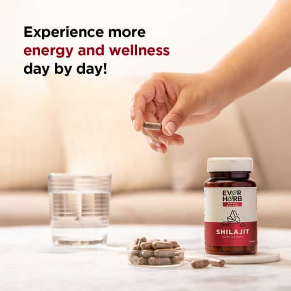 Everherb Shilajit 500Mg - Vigour Improvement-Strength & Stamina For Men-Bottle Of 60 (By Pharmeasy)