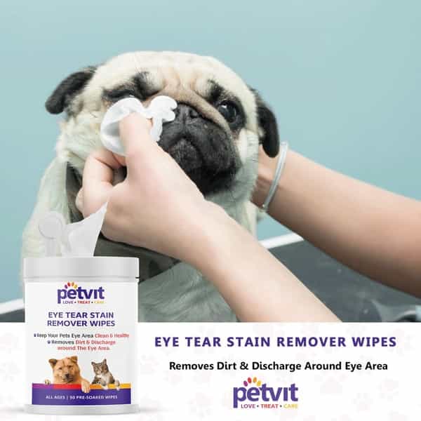 Petvit Eye Tear Stain Remover Wipes For Dogs And Cats Fragrance Less 50 Wipes For All Age Pack Of 2