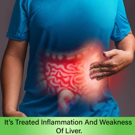 Cipzer Majun Dabidul Ward 125g | Supports Liver Health & Digestive Comfort