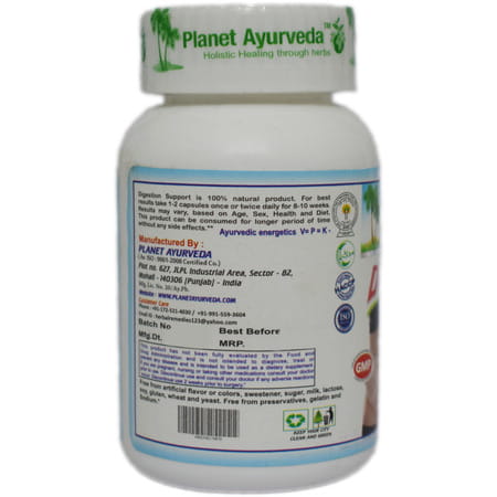 Planet Ayurveda Digestion Support - 60 Capsules