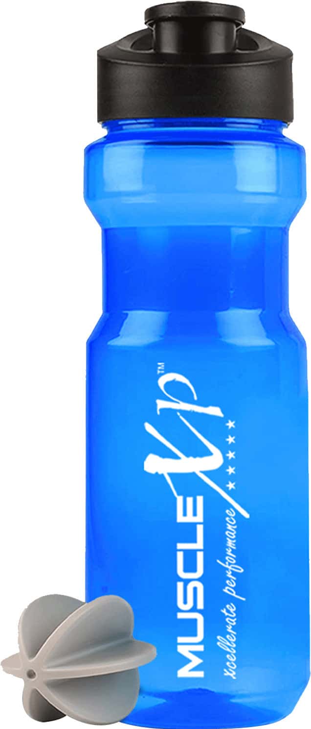 Musclexp Sports Water Bottle With 700 Ml Unbreakable Water Bottle For Gym Aqua Blue