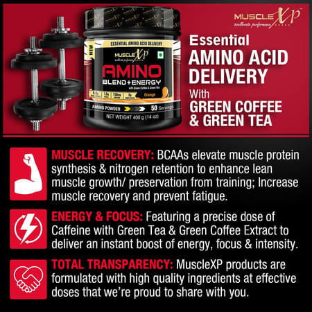 Musclexp Essential Nutrients Combo | Amino Blend 400g + Whey Protein 2kg