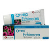 Bjain Omeo Echinacea Ointment| Homeopathic Support For Skin Healing & Minor Wounds - 30Gm