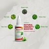 Maxirich Tulsi Drops - 30 Ml