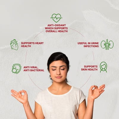 View product image 6