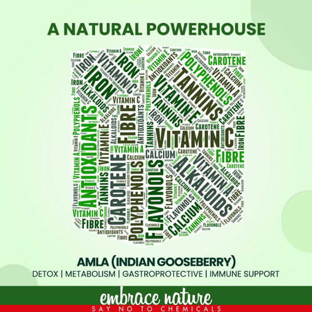 Nature Sure Amla Berry Powder 100g With Raw Honey 50g - 1 Pack