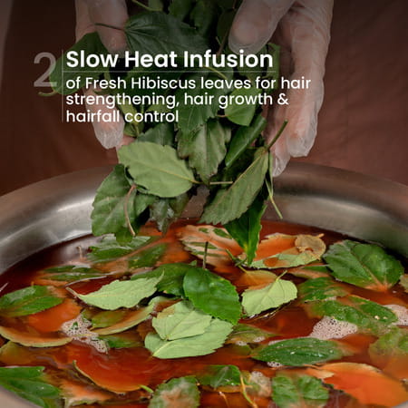 Nat Habit Natural Hair Shampoo | Men | Hairfall & Dandruff Control | Revital & Nourishment (250ml)