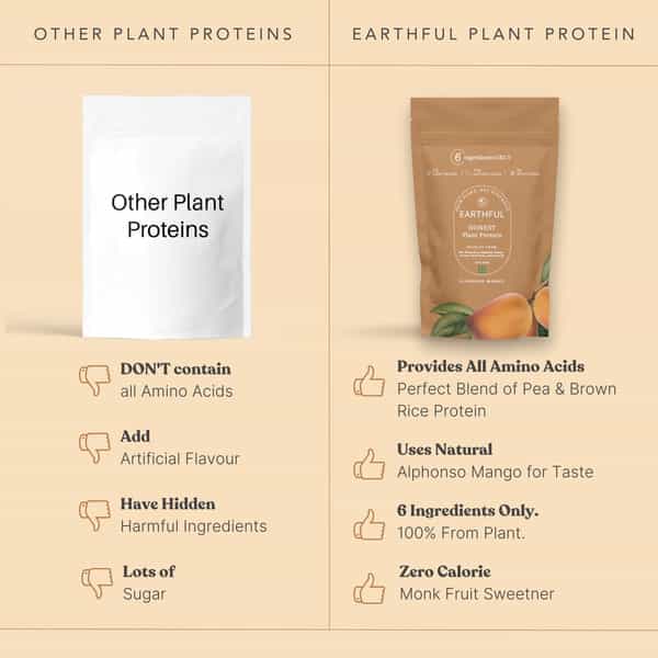 Earthful Plant Protein For Stamina-Apple & Cardamom - Diabetic Friendly - Large Pack | 513 Grams