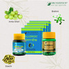 Dr. Vaidya's Allergy And Cold Pack - Allergic Pills ( 24 X 4 ) Herbofit - 30 Capsules Sung-Ho 10G