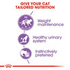 Royal Canin Sterlised For Adult Cats | 85 Grams | Pack Of 12 Sachet | Wet Food