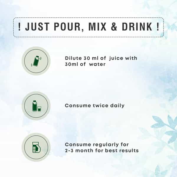 Four Seasons Patharchur Juice 500Ml - For Kidney Wellness | Natural Detox & Digestion Support