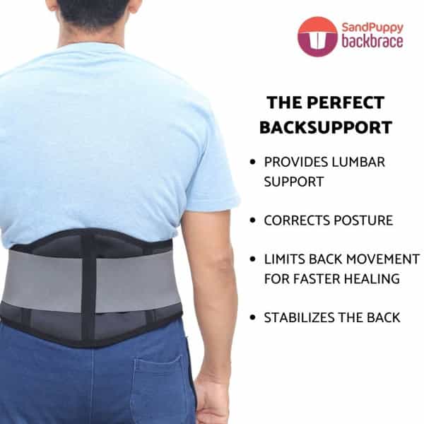 Sandpuppy Backbrace M - Flexible Back Support Belt |Lumbar Support Belt |Stabilizes Back