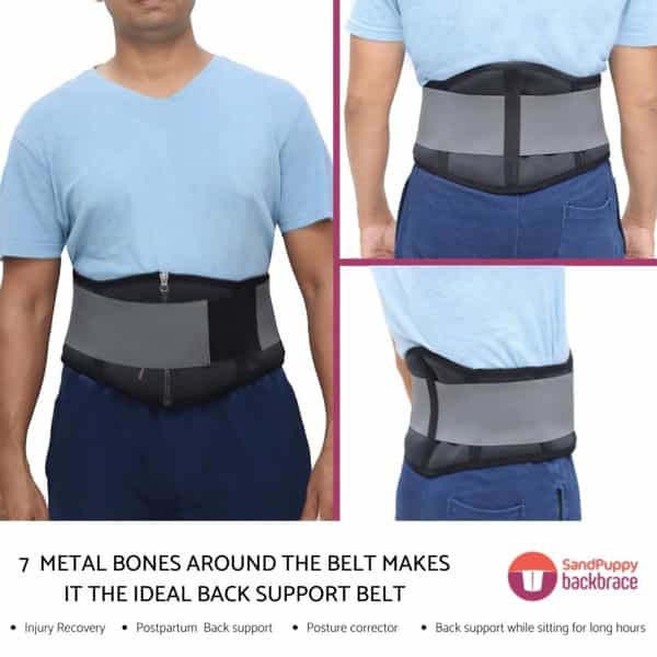 Sandpuppy Backbrace M - Flexible Back Support Belt |Lumbar Support Belt |Stabilizes Back