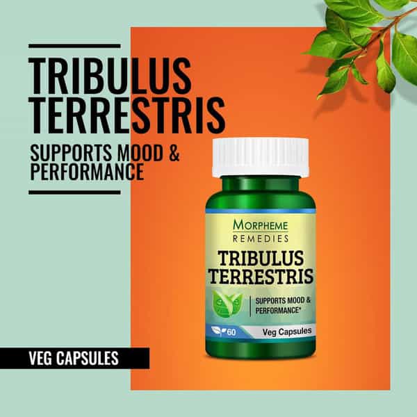 Morpheme Remedies Tribulus Terrestris 500 Mg - 60 Veg Capsules