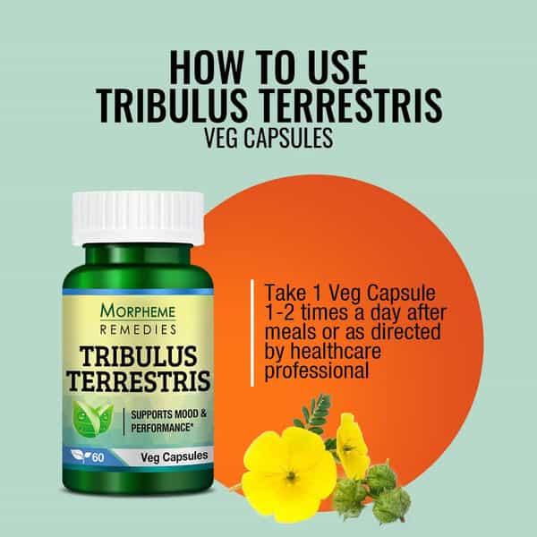 Morpheme Remedies Tribulus Terrestris 500 Mg - 60 Veg Capsules