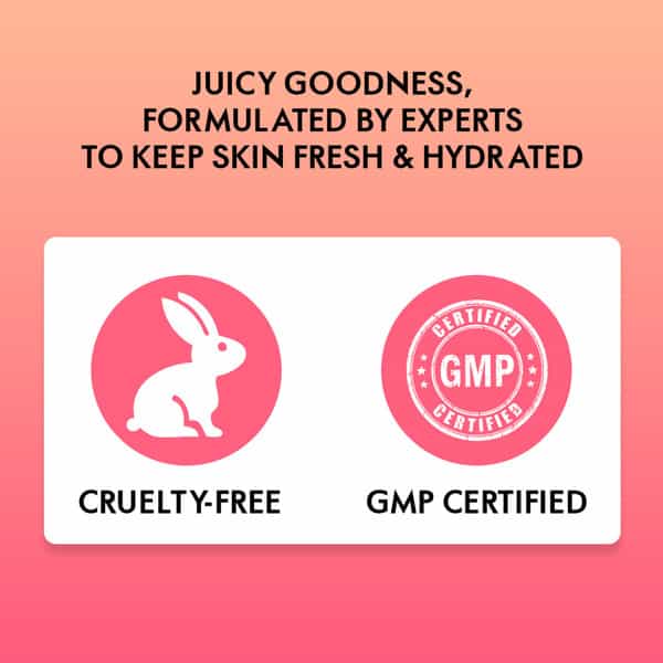 Alglaze Watermelon Face Gel | Hydrating Soothing | Niacinamide Hyaluronic Acid & Watermelon | 100G
