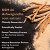 Onelife Ashwagandha Ksm 66 - 60 Capsules