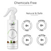 Ktein Natural Hair Holding Spray 200Ml