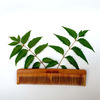 Goli Soda Neem Wood Comb - Double Tooth
