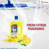 Tri-Activ Disinfectant Floor Cleaner- 900 Ml