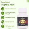 Hashmi Mughal-E-Azam Energy Capsule: Helps To Restore Your Energy And Stamina 20 Capsules