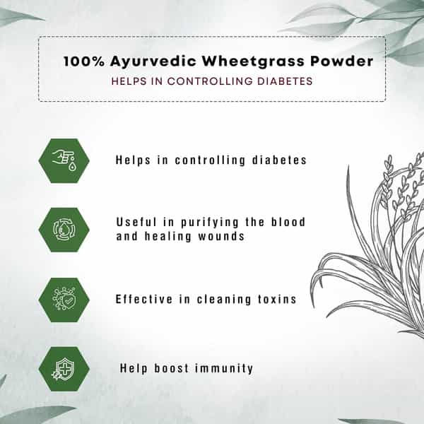 Four Seasons Wheatgrass Powder 100G| Boost Immunity & Energy, Detox | Healthy Metabolism (Pack Of 2)
