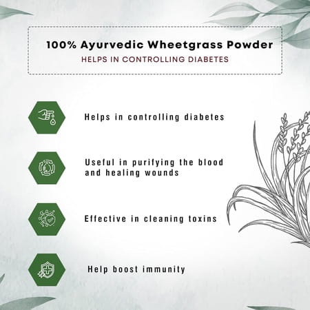 Four Seasons Wheatgrass Powder 100g| Boost Immunity & Energy, Detox | Healthy Metabolism (Pack Of 2)