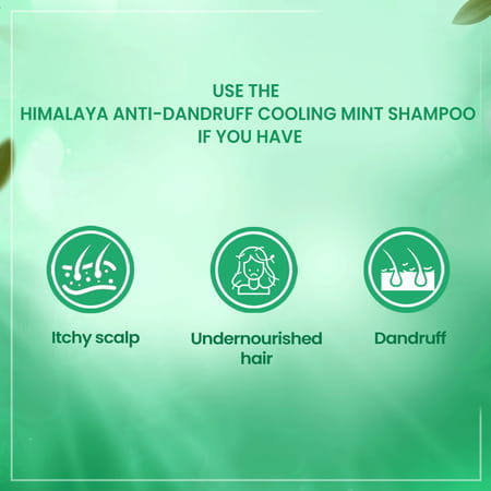 Himalaya Anti-Dandruff Mint Shampoo - 200ml