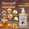 Maxisoft Argan Oil & Honey | Deep Cleansing | Handwash | Bottle | 500 Ml | Pack Of 2