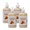 Maxisoft Argan Oil & Honey | Deep Cleansing | Handwash | Bottle | 500 Ml | Pack Of 2