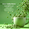 Sheopal's Green Coffee Beans With Chlorogenic Acid- 100Gm