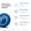 Decode Age Liposomal Nmn Supplement | 99.9% Pure Beta Nmn | Nad+ Booster | 500Mg | 30 Capsules | Veg