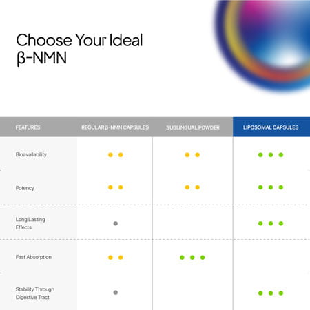 Decode Age Liposomal Nmn Supplement | 99.9% Pure Beta Nmn | Nad+ Booster | 500Mg | 30 Capsules | Veg