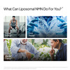 Decode Age Liposomal Nmn Supplement | 99.9% Pure Beta Nmn | Nad+ Booster | 500Mg | 30 Capsules | Veg