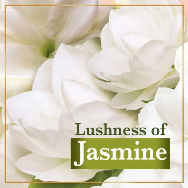 Lux Jasmine & Vitamin E Soap - 100 G Buy 4 And Get 1 Free (Pack Of 5)