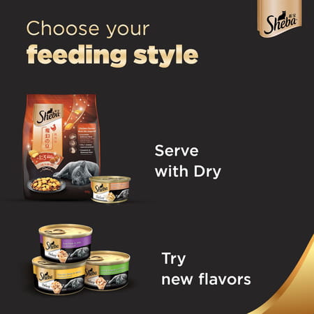 Sheba Deluxe Premium Adult (1+ Years) Wet Cat Food | Succulent Chicken Breast In Gravy | 4 X 85 G