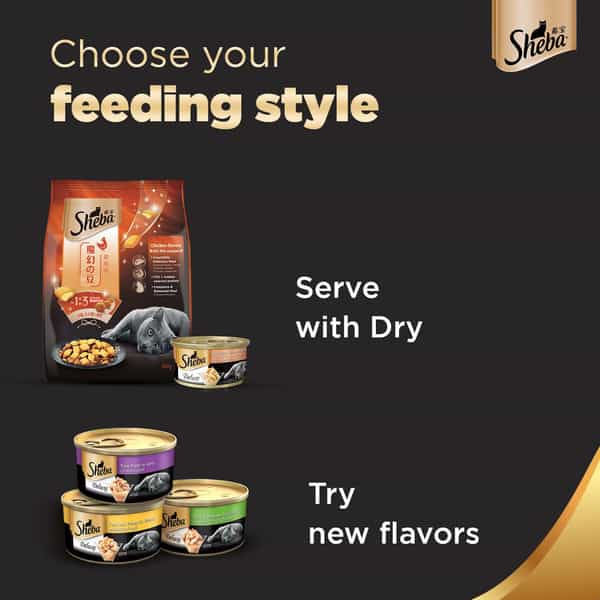 Sheba Deluxe Premium Adult (1+ Years) Wet Cat Food | Succulent Chicken Breast In Gravy | 4 X 85 G